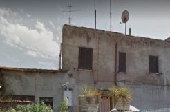 49 meloni foto 2